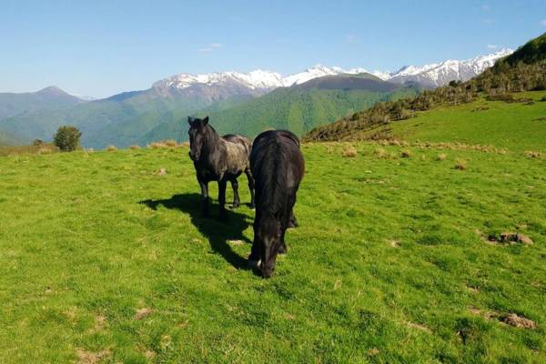Maison de 5 chambres avec jardin clos et wifi a Augirein