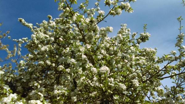 la boutique de laurence