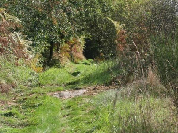 Gîte Saint-Romain-d'Urfé 3 pièces 4 personnes - FR-1-496-189