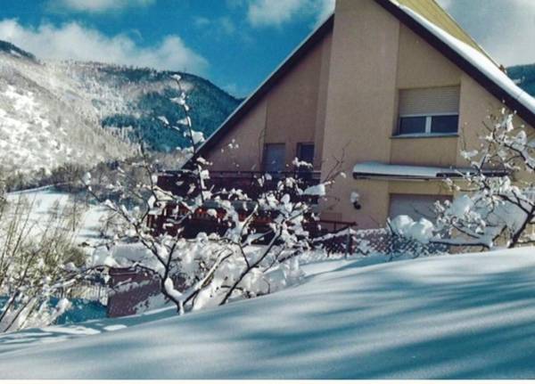 Appartement de 2 chambres avec piscine partagee jardin amenage et wifi a Oderen