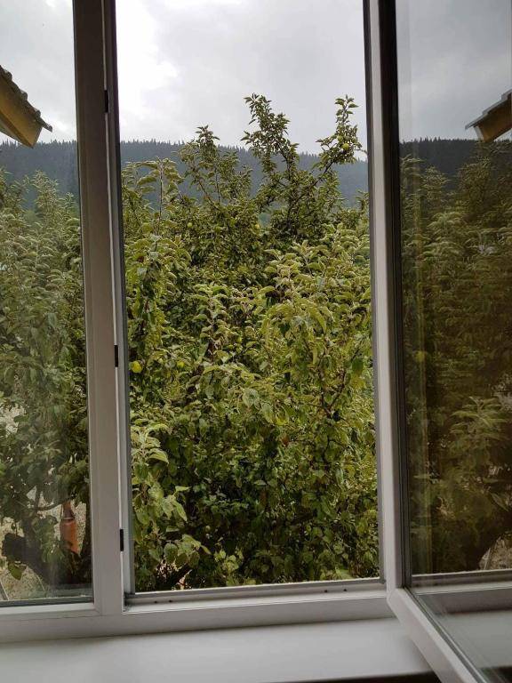 Guesthouse Guram Baba