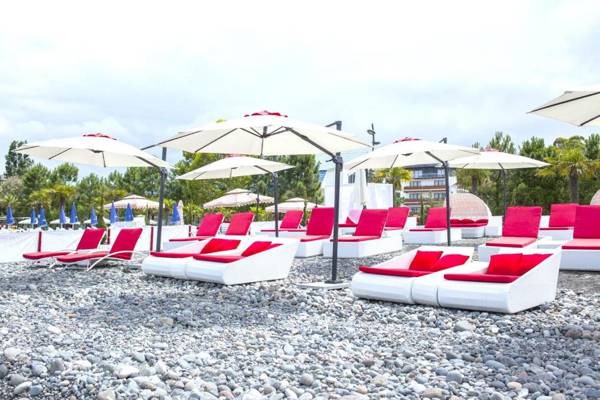 Dreamland Oasis 7 Chakvi