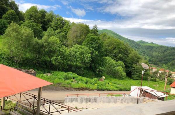 Bakuriani K-2 Apartment