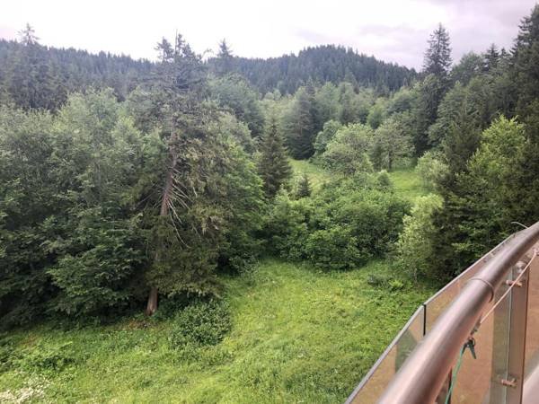 Bakuriani House in Forest