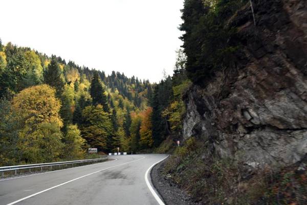 Bakuriani Park Residence Apartment #3