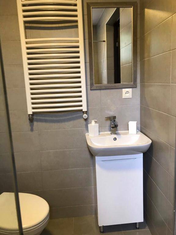 Bakuriani Cozy Villa #4