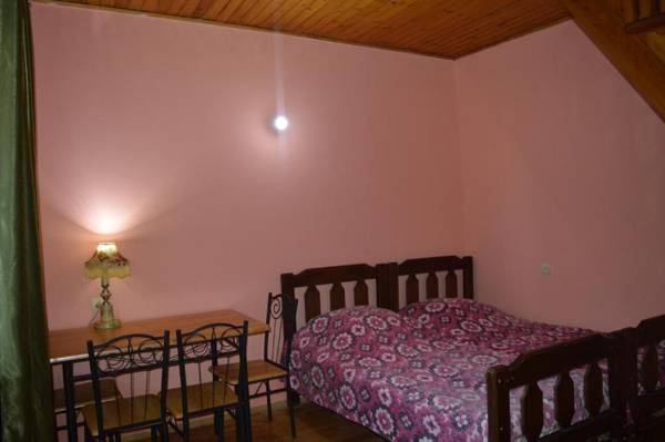 Vintage house 19 century