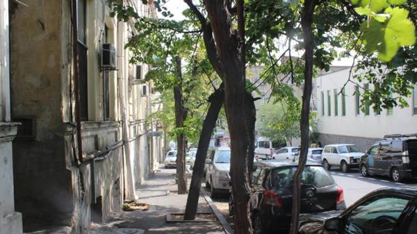 Guesthouse Mari Brose