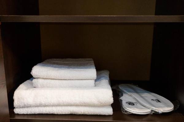 Serviced Apartment on Rustaveli Avenue 8