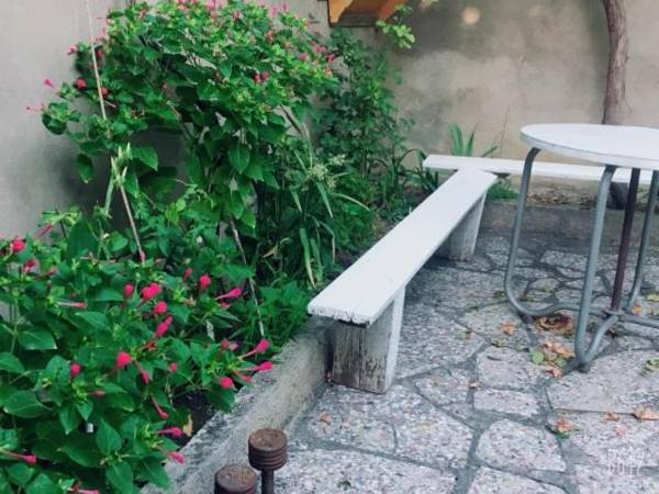 Family Guesthouse - MACHARASHVILI