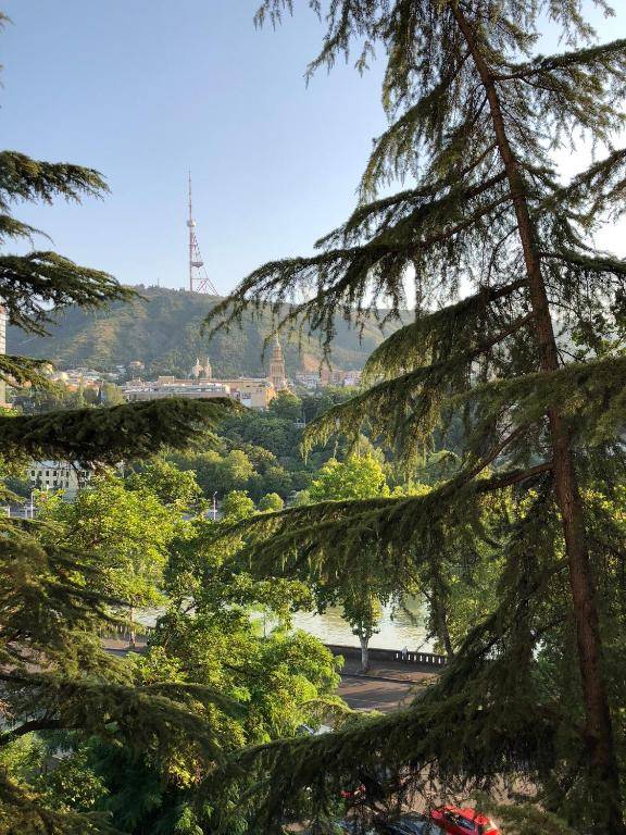 Marjanishvili Apartment