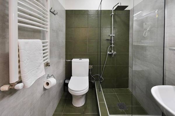 Green Room in Apart Hotel With Terrace