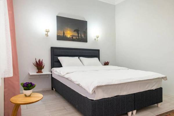 Downtown Two-bedrom Apartment