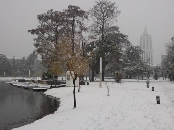 Appartament Gorgiladze