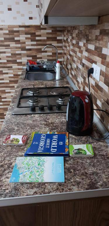 Apartment Rustaveli 59