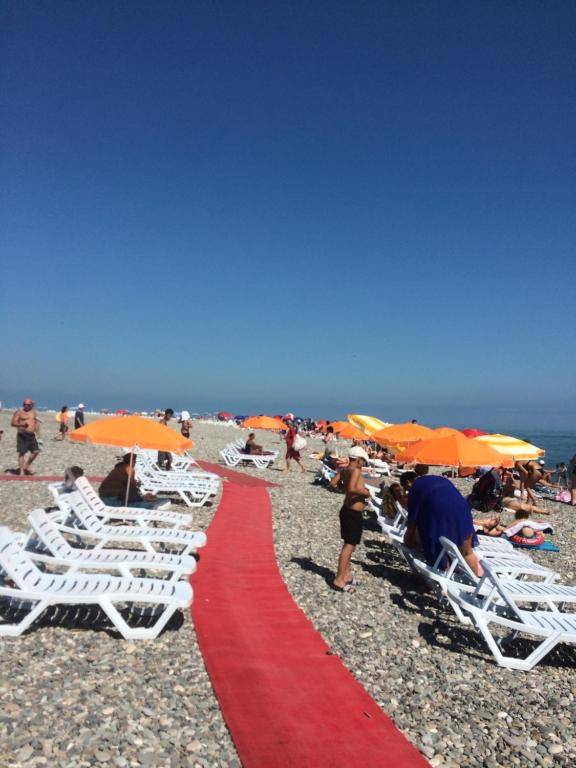 apartament- inasaridze 15