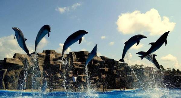 Apartment at Parnavaz