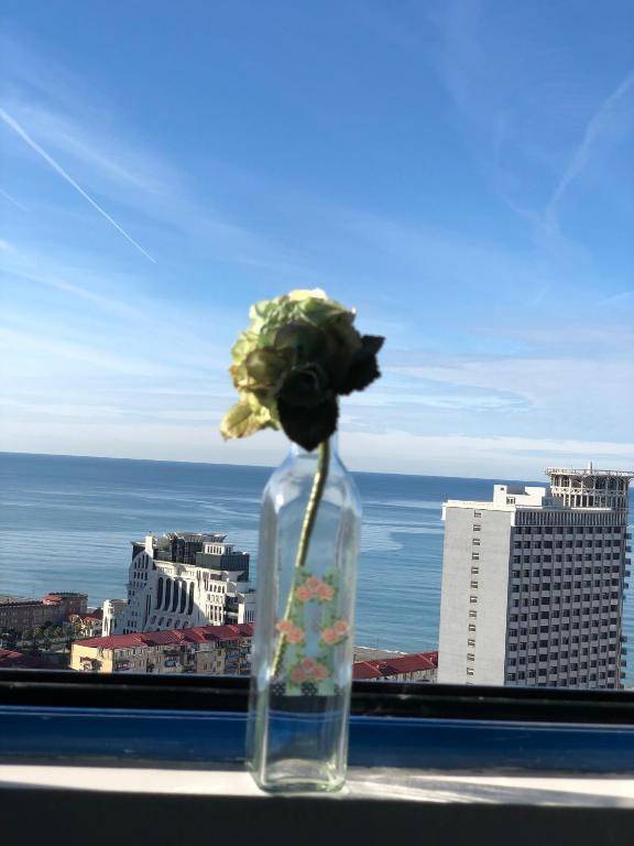 Cozy bright Apartment with amazing sea view