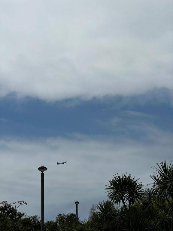 Beach Tower Apartment