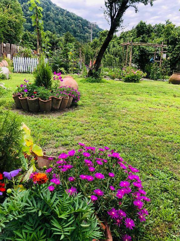 Guest House STAR Lagodekhi