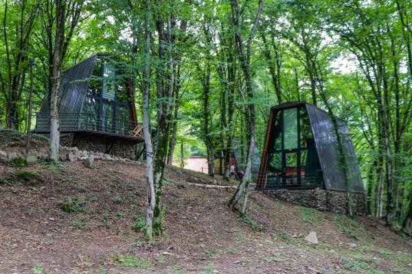 Eco Village In The Forest