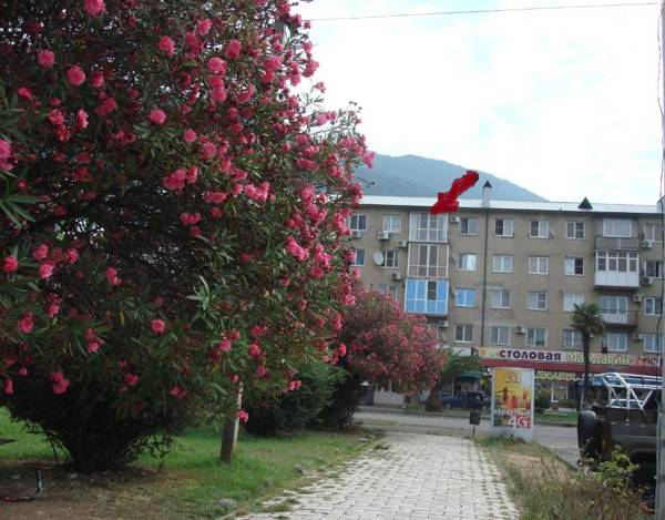 Apartment na Abazgaa 49/1