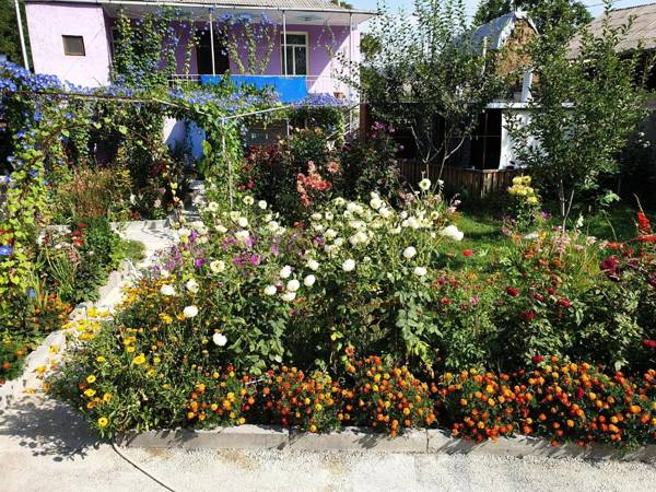 Guest House Tsiskari