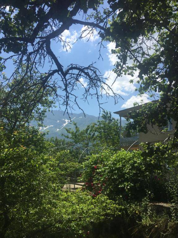 Guest House Lankhvri