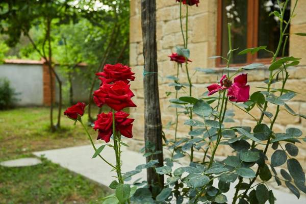 Sazano Wine Cellar & Hotel