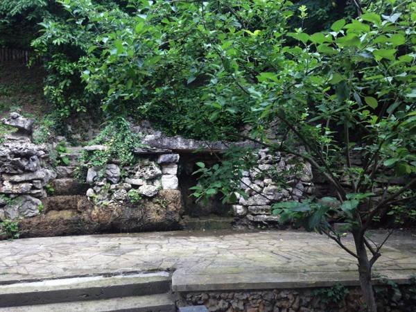 Center Villa Kutaisi