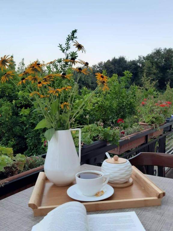 Guesthouse Hill Side