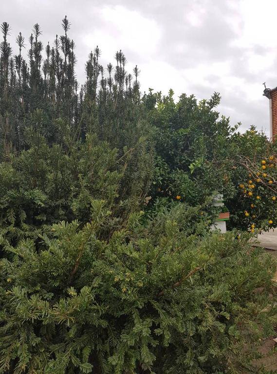 Guesthouse Hill Side