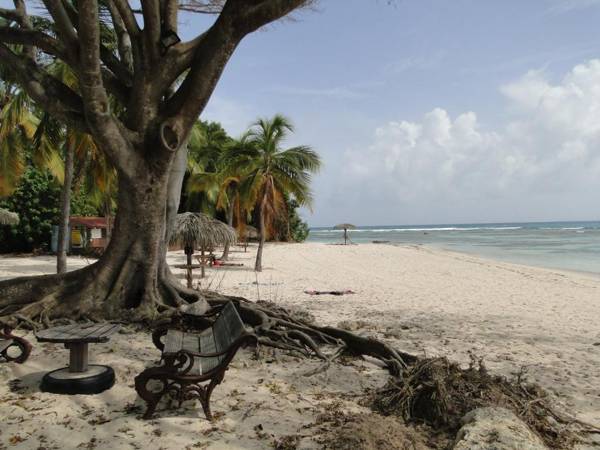 Studio Corail Rez de Jardin