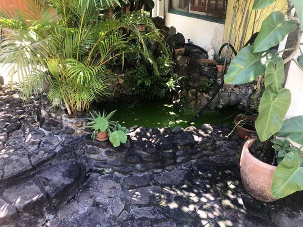 Studio avec jardin clos et wifi a Basse Terre