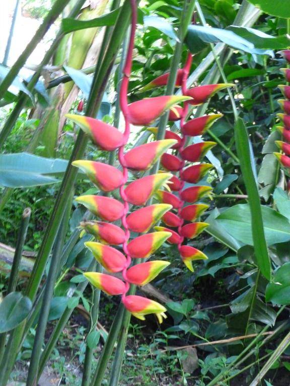 Les jardins de Cousinière