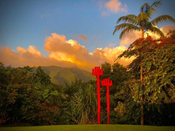 Habitation Caféière Samana Beauséjour