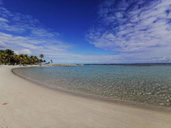 T2 Tagua - SAINTE-ANNE Centre - accès plage à pied