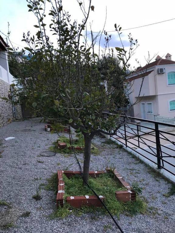 amazing apartment in the heart of masouri