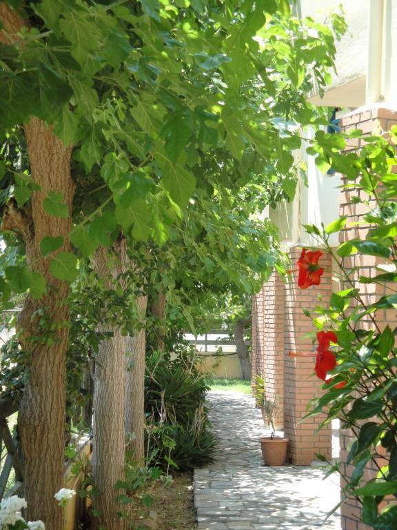 Nancy - Chara Apartments