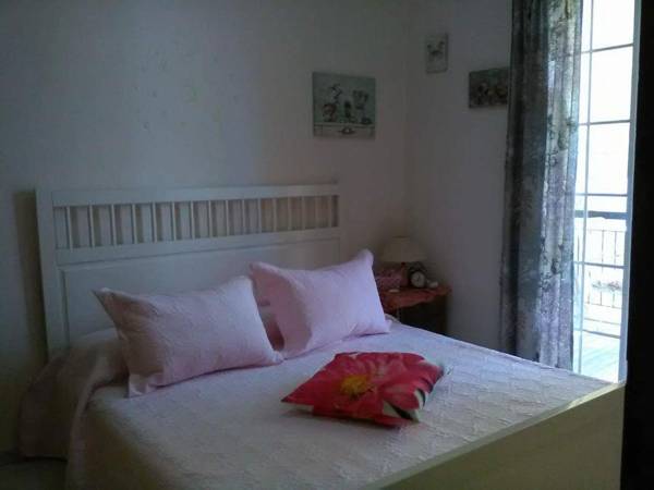 Aegina's Flowers house