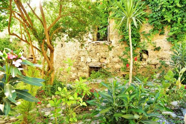 Pension Irene