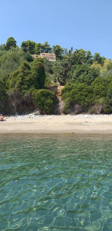 Mandaniki Apartments