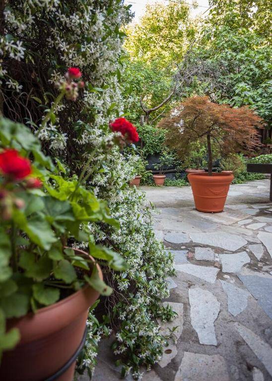 Deluxe Boutique Hotel Palea Poli