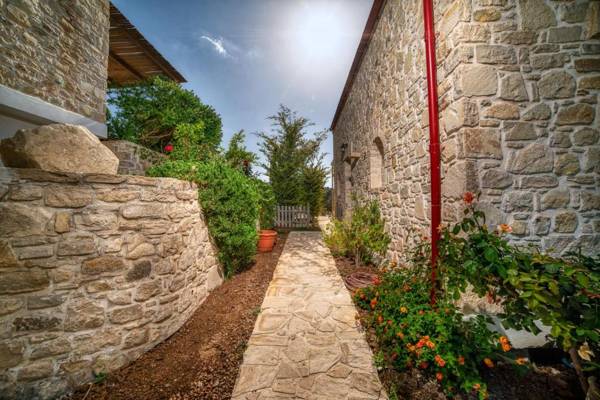Olive luxury villas - luxury villa Omicron