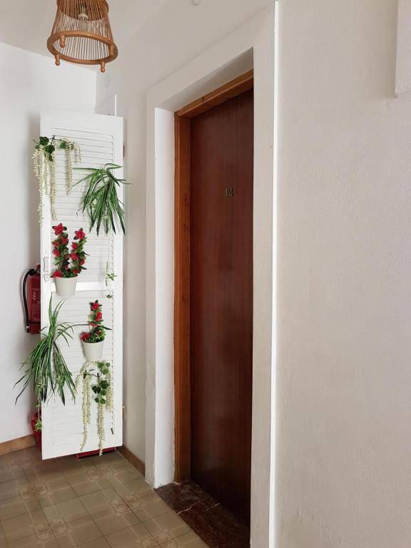 Vasiliki apartments