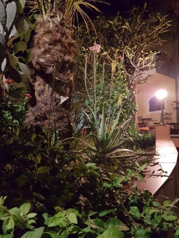 Elia & Tina Apartments