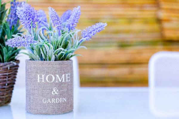 Ariadne Cozy Beautiful Studio