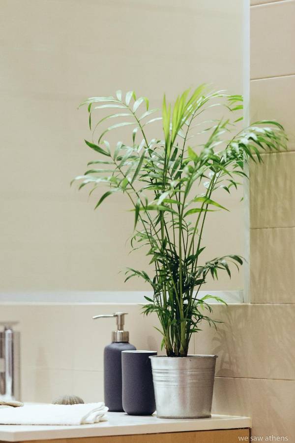 we saw athens from 1b