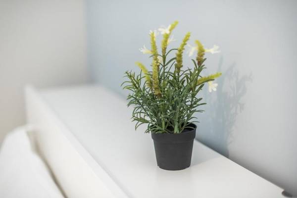 Welcoming Koukaki Home by Cloudkeys