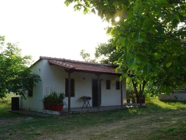 Villa Mina